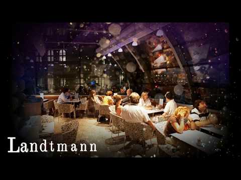 Video: Kafe-kafe Terbaik Di Vienna Untuk Kerja Kreatif