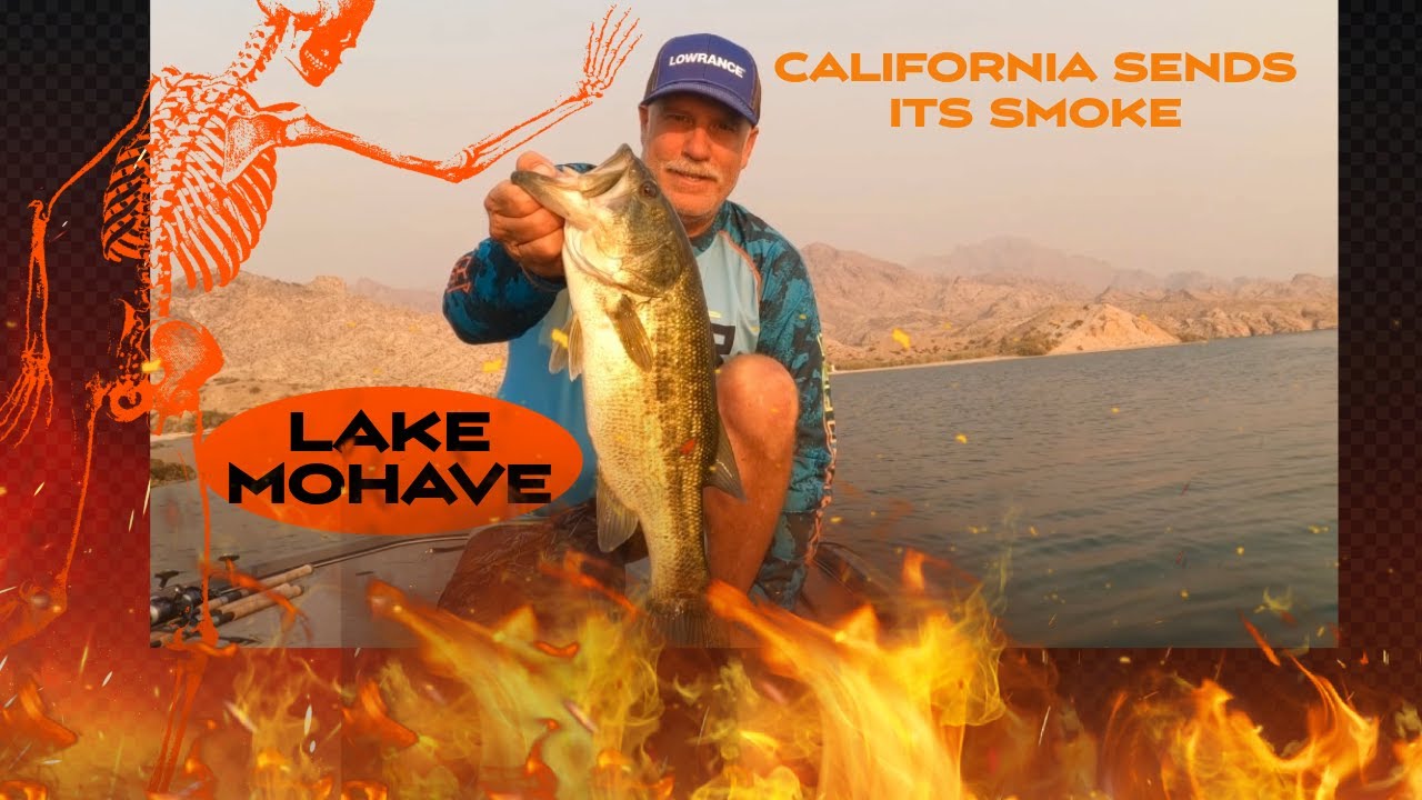 Super Smokey Bass Fishing on LAKE MOHAVE