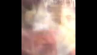 Vokal aim terbaik 96