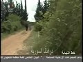 موسيقى خط النهاية