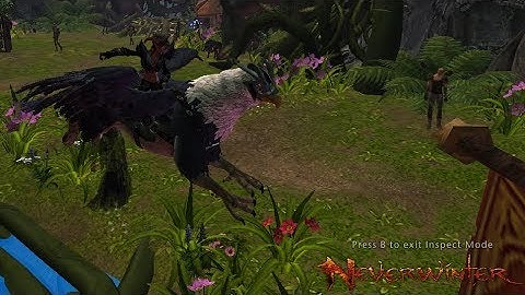 Neverwinter Mod 12B New refinement