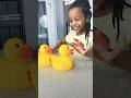 5 Little Ducks 🦆