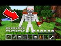 How to play SKELETON MUTANT in Minecraft! Real life SKELETON MUTANT! Battle NOOB VS PRO Animation