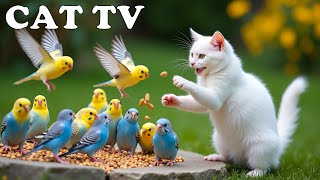 видео: Природная терапия для кошек, когда они одни дома: 4K-телевизор с кошками и красивыми птицами 😻🦜 Р... картинка: Природная терапия для кошек, когда они одни дома: 4K-телевизор с кошками и красивыми птицами 😻🦜 Р...