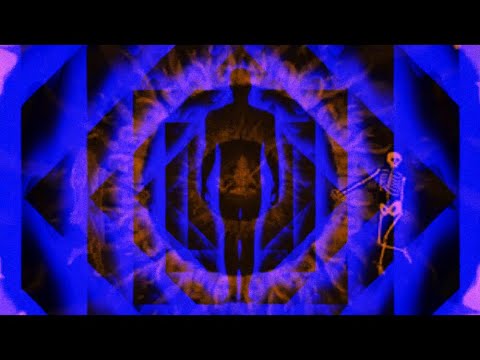 The Limit: Kitty Gone (Official Music Video)