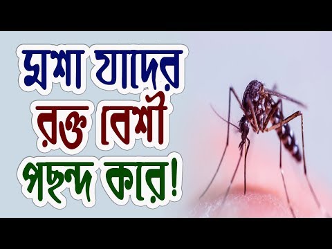 ভিডিও: উটের কম্বল: আকার, দাম। প্রস্তুতকারকের পর্যালোচনা