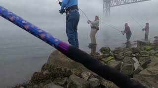 July 8 2023 part 7 epic day cape cod canal topwater with the crew 9 of us