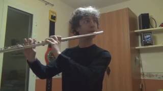 flute solo - secrets of the castle (hagrid's friendly bird) - HP and the prisoner of azkaban