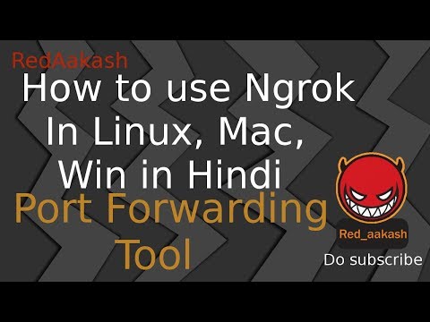 (HINDI)Port Forwarding : Ngrok full overview again for you only in hindi | Hacking tool