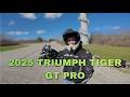 2025 Triumph Tiger GT PRO | POV | WALKAROUND &amp; ARROW EXHAUST!!! With REVVS