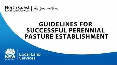 Tips from our Team - Guidelines for Successful Perennial Pasture Establishment