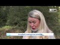 Нападение алабая на семью  Новости Кирова 12 10 20