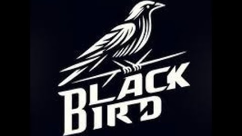 Backtest EA  Black Bird MT4 Review | Forex EAs Mall