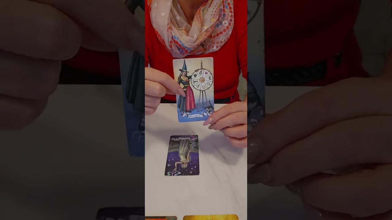 POISSON 1ER TRIMESTRE 2026.. STOP C'EST STOP ✋️