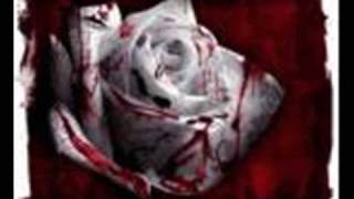 Ayşegül Yildiz Seni Seviyorum