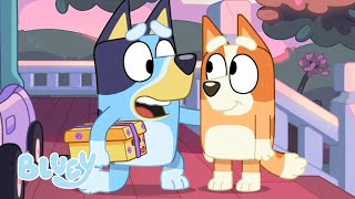 Fun And Games With Bluey And Bingo Compilation Bluey