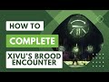 How to complete the xivus brood encounter in alters of summoning