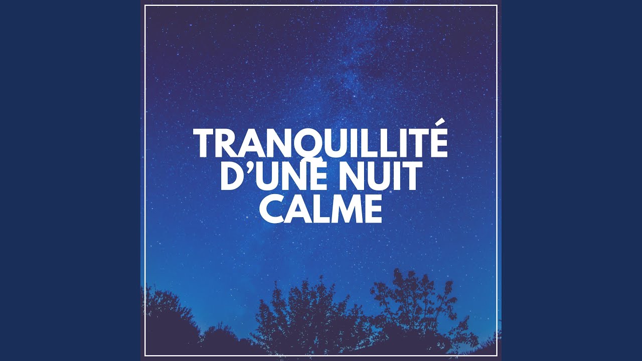 Musique Détente Piano - YouTube
