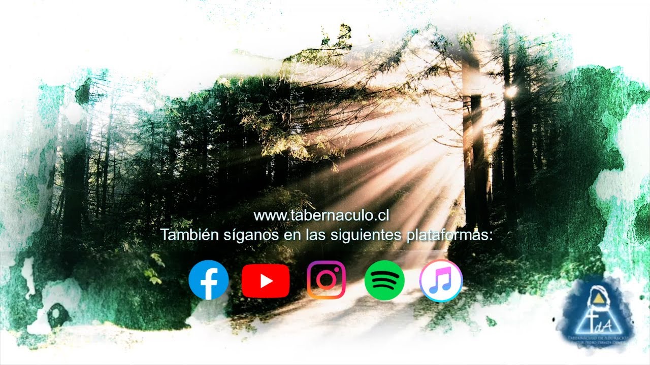 Amado de mi Alma- Jesucristo te puedo sentir- Yo veré la gloria de ...