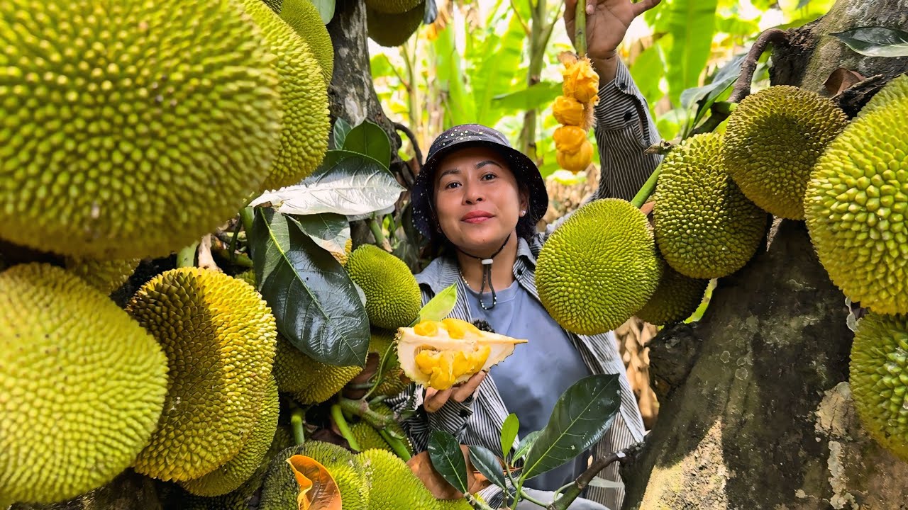LONG KHÁNH QUÊ EM MỚI MUA ĐƯỢC CÂY MÍT TRÁI NHIỀU KHỦNG KHIẾP