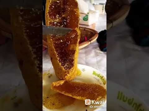 كيف يصنع النحل العسل وكيف تحول مرارة الازهار الى حلاوة عسل مصفى اللهم صل على محمد وآل محمد