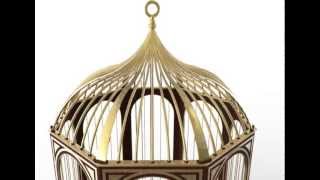 Bird Cage 3D Model Preview