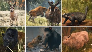 Far Cry Primal - Hunting - Rare animals - All animals