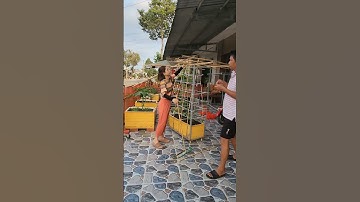 Giàn rau có gì độc lạ nhà Tui#thuytrangsadec#nhatrangsadec#trongrausanthuong