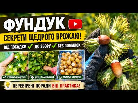 Фундук Панський та Акорн в 5-му сезоні