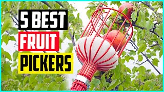 Top 5 Best Fruit Pickers in 2022