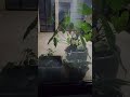 se gostou mim segui , #reflecao dessa noite gratidão a Deus.