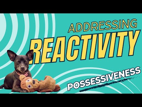 Reactivity  Possessiveness video thumbnail