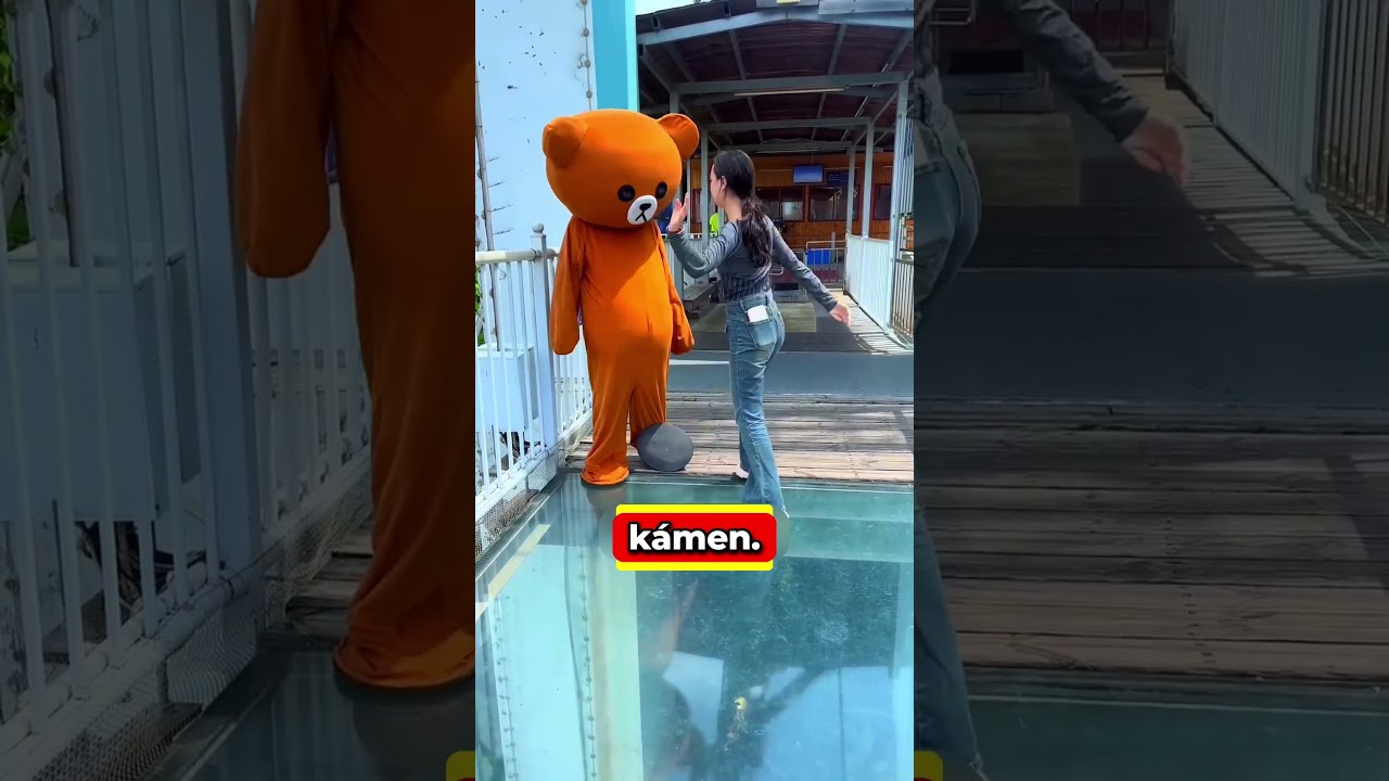 Panda pomohol Vystrašené Holce!😍