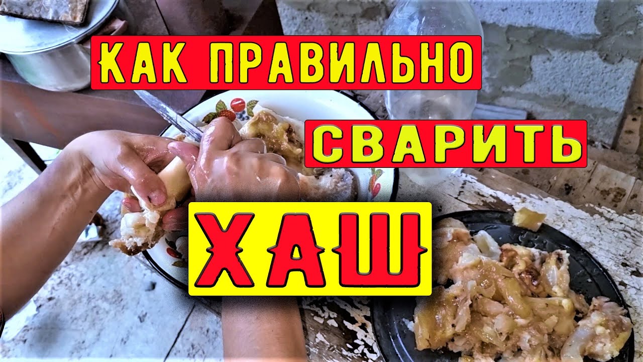 ГОТОВИМ ХАШ ПРЯМО НА ГОРЕ / КАК ВСЁ СДЕЛАТЬ ПРАВИЛЬНО? И КАК ХАШ ...