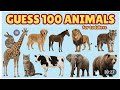 "Unlock the Wild: 50 Animal Names You NEED to Know - Fun &amp; Fast Learning!"