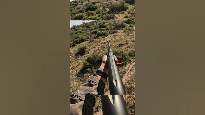 Hunting from the helicopter #hunting - DayDayNews
