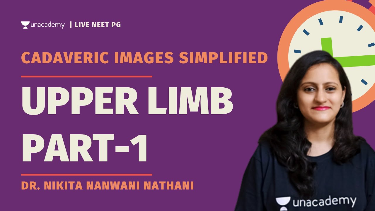 Cadaveric Images Simplified | Upper limb-Part1 | Anatomy | Dr Nikita Nanwani
