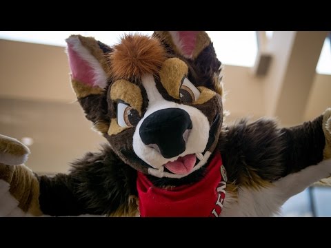 Apari's Texas Furry Fiesta 2017 Con Video - YouTube
