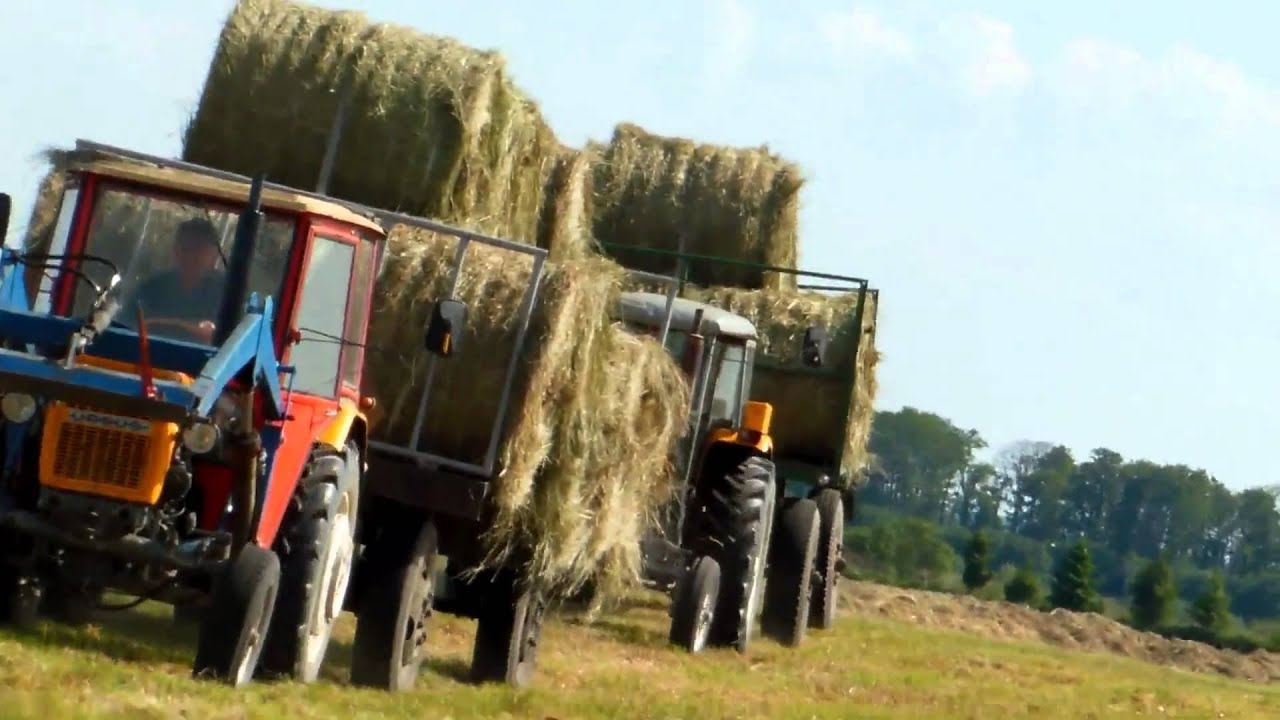 Sianokosy 2013 .:Ursus C-330:Ursus C-360:Massey Ferguson 590:Z-224:John Deere 550:.