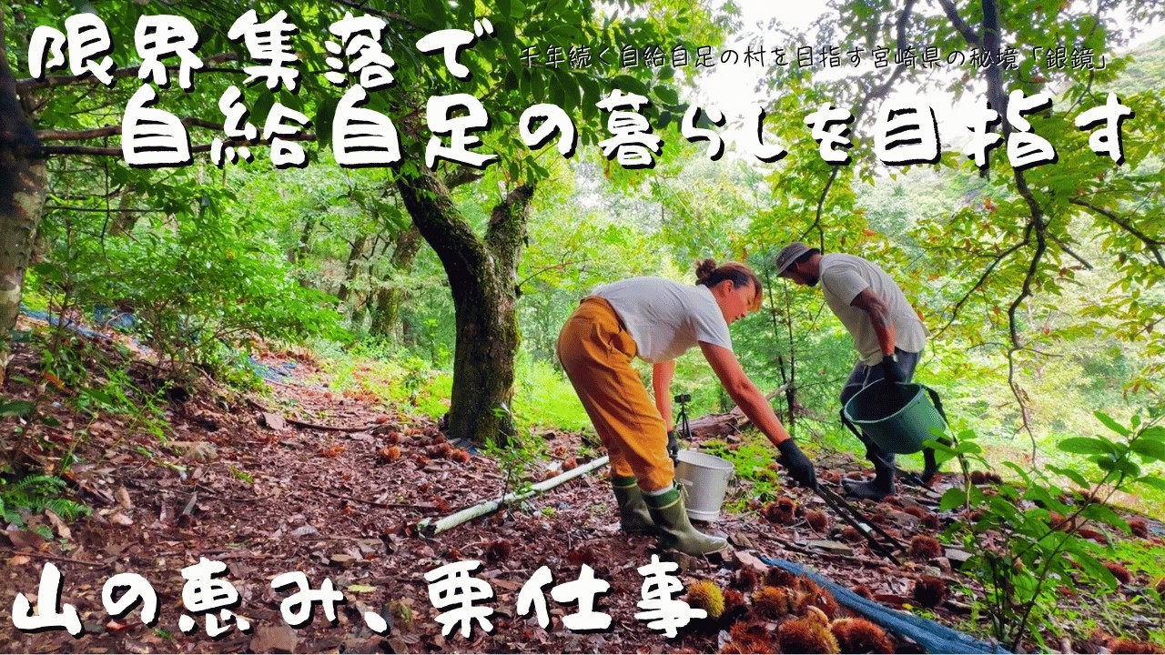 【限界集落からの挑戦|第二章】田舎暮らし3年目｜銀鏡の祖霊祭と栗仕事。季節と共に生きるということ