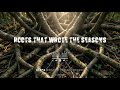 ROOTS THAT WROTE THE SEASONS 🌳| Cinematic Pop Song About Hope Love & Strength (Official Lyric Video)