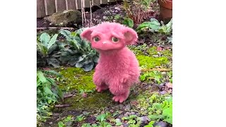 Stupid Creature! - Good Riddance