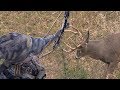 One and Done!  Big Buck On the First Sit | Bowhunt or Die Season 10 Episode 43