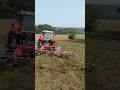 Massey Ferguson TD776X in PA #shorts