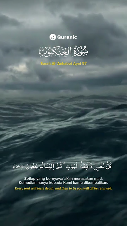 Murottal Merdu QS. Al-'Ankabut Ayat 57 #alquran #murottal #merdu #reminder #tilawah