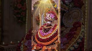 khatushyam baba Darbar 📿🙏 4K status download shayam baba #khatushyam#khatu#viral#shyam#shorts#new