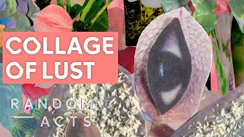 Stop motion collage explores female desire | Eupho...