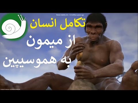 از میمونها تا هموسیپینها....نگاهی خلاصه به روند حاکمیت انسان بر زمین