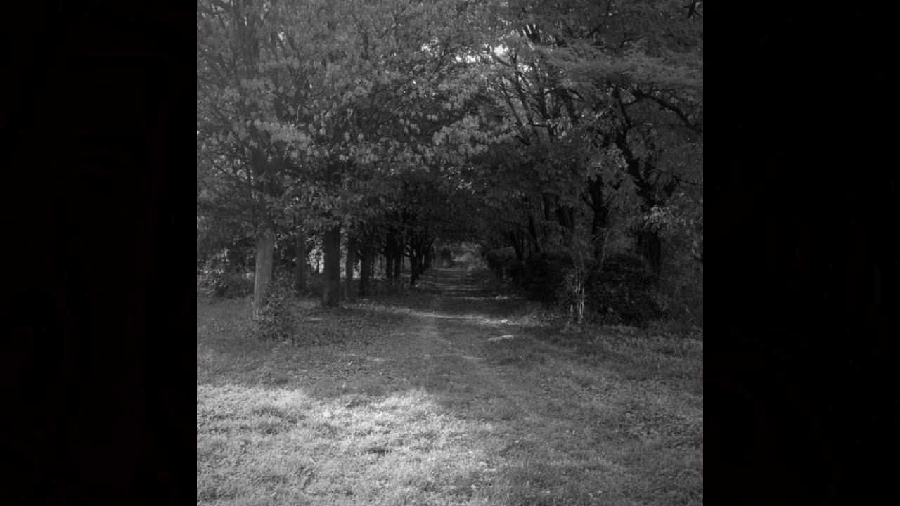 Sakdat & Balaur, siL - Fata Padurarului