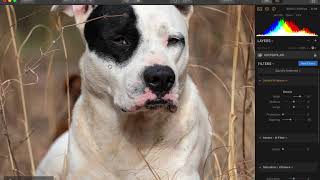 Luminar 2018 Small Details For Better Photos